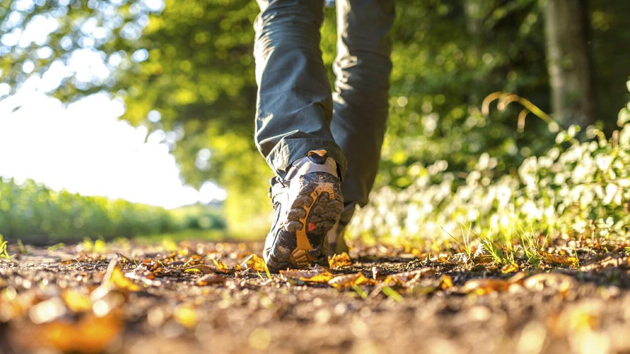 بابەتێکی زانستیانە